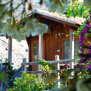 Agora Homestay Kapikiri